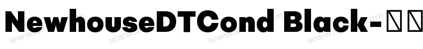NewhouseDTCond Black字体转换